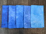 Cloth Napkin Set - Gradient Blue Tie Dye Theme