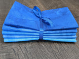 Cloth Napkin Set - Gradient Blue Tie Dye Theme
